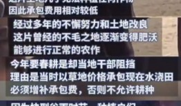 热门冤案爆料视频完整版